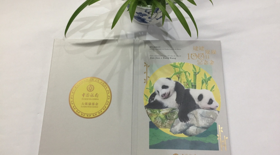 Panda Photo Album_Printing